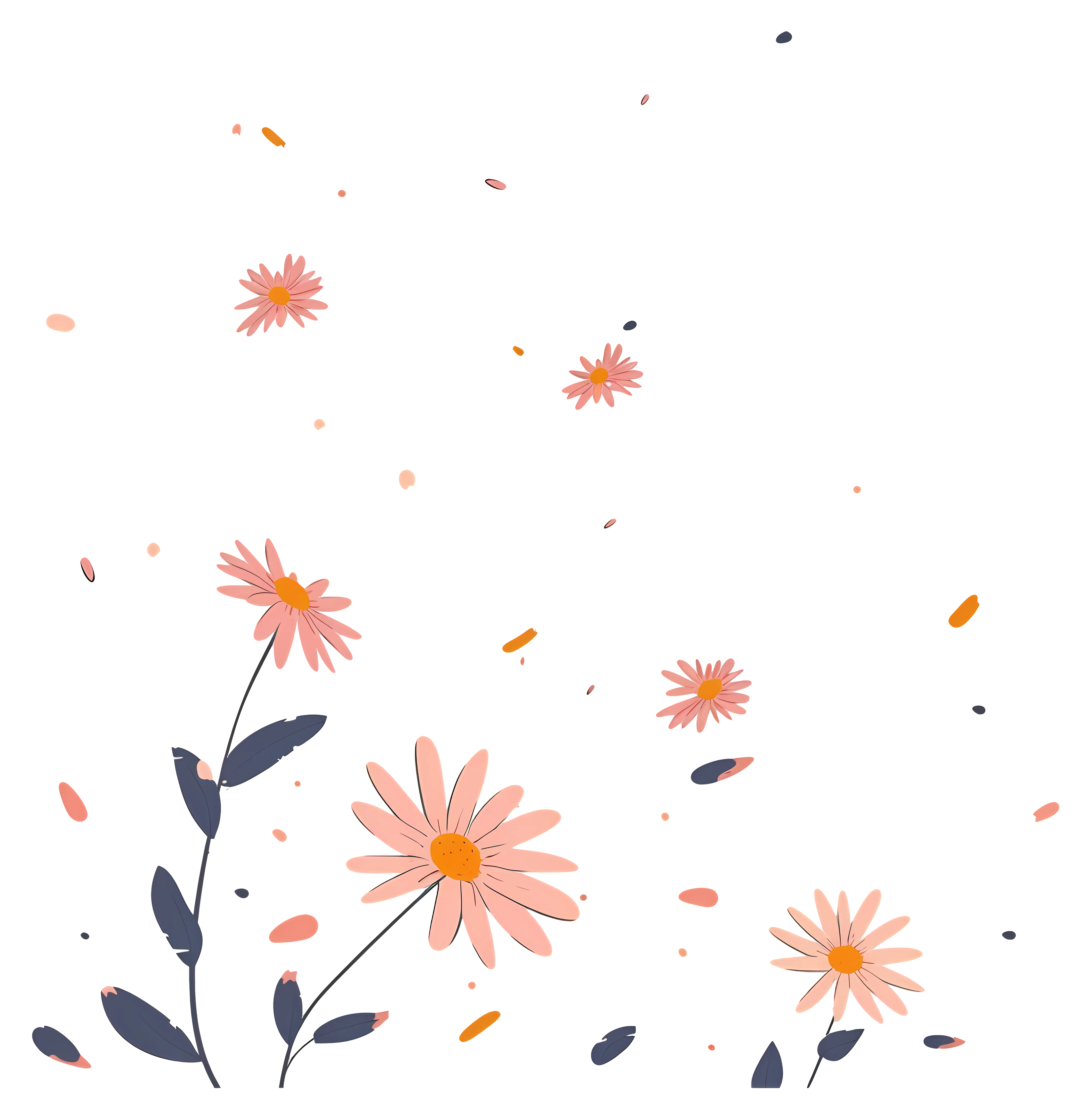 Pink Daisies with Falling Petals Illustration