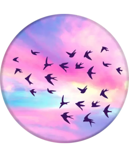 Birds Flying in Colorful Sky