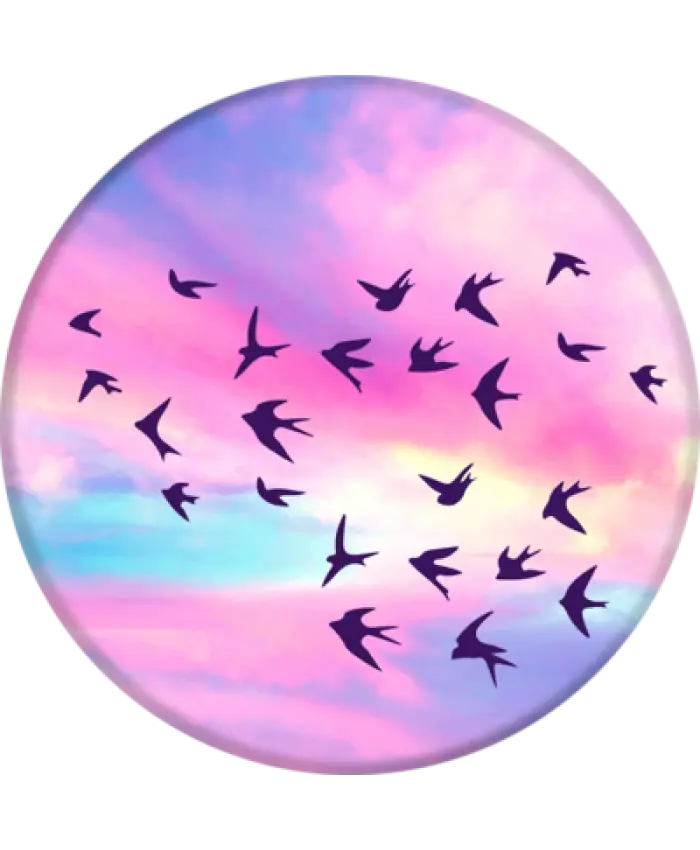 Birds Flying in Colorful Sky