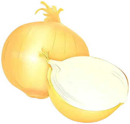 Fresh Yellow Onions