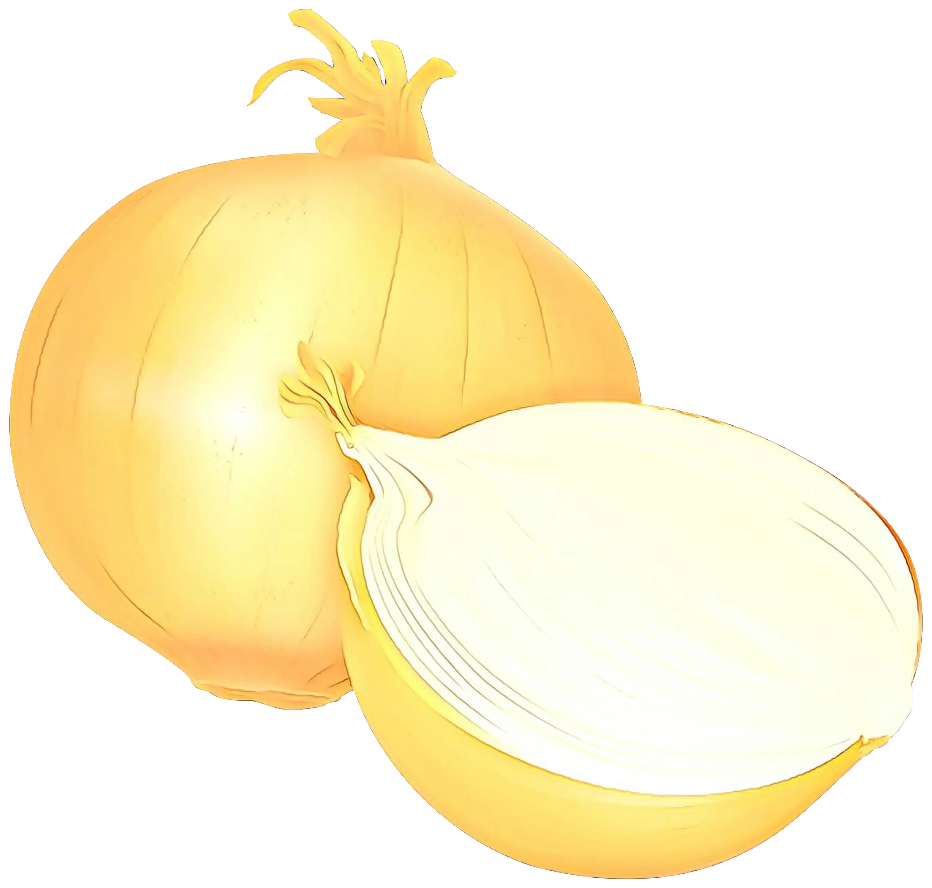 Fresh Yellow Onions