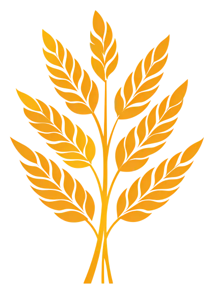 Golden Wheat Illustration