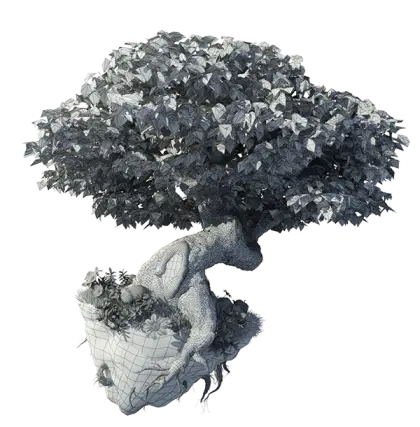 Beautiful Bonsai Tree for Home Decor