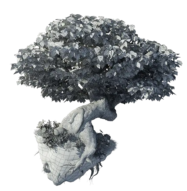 Beautiful Bonsai Tree for Home Decor