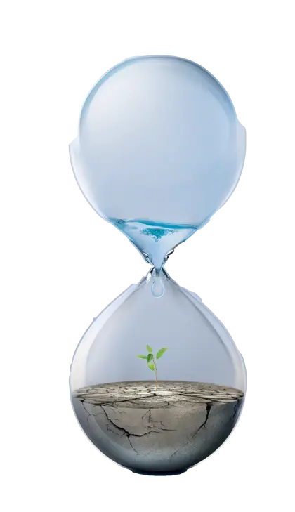 Hourglass with Water and Plant