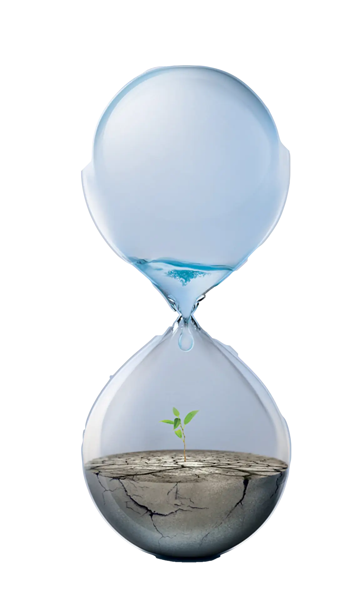 Hourglass with Water and Plant