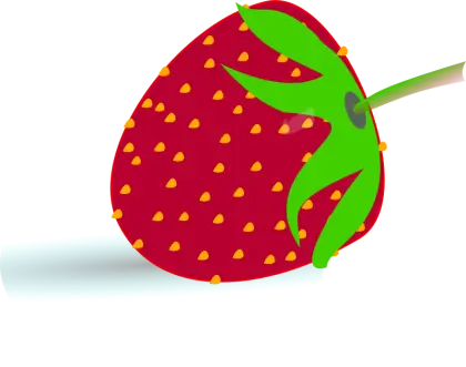 Fresh Red Strawberry Illustration
