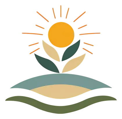 Sun and Plant in a Field