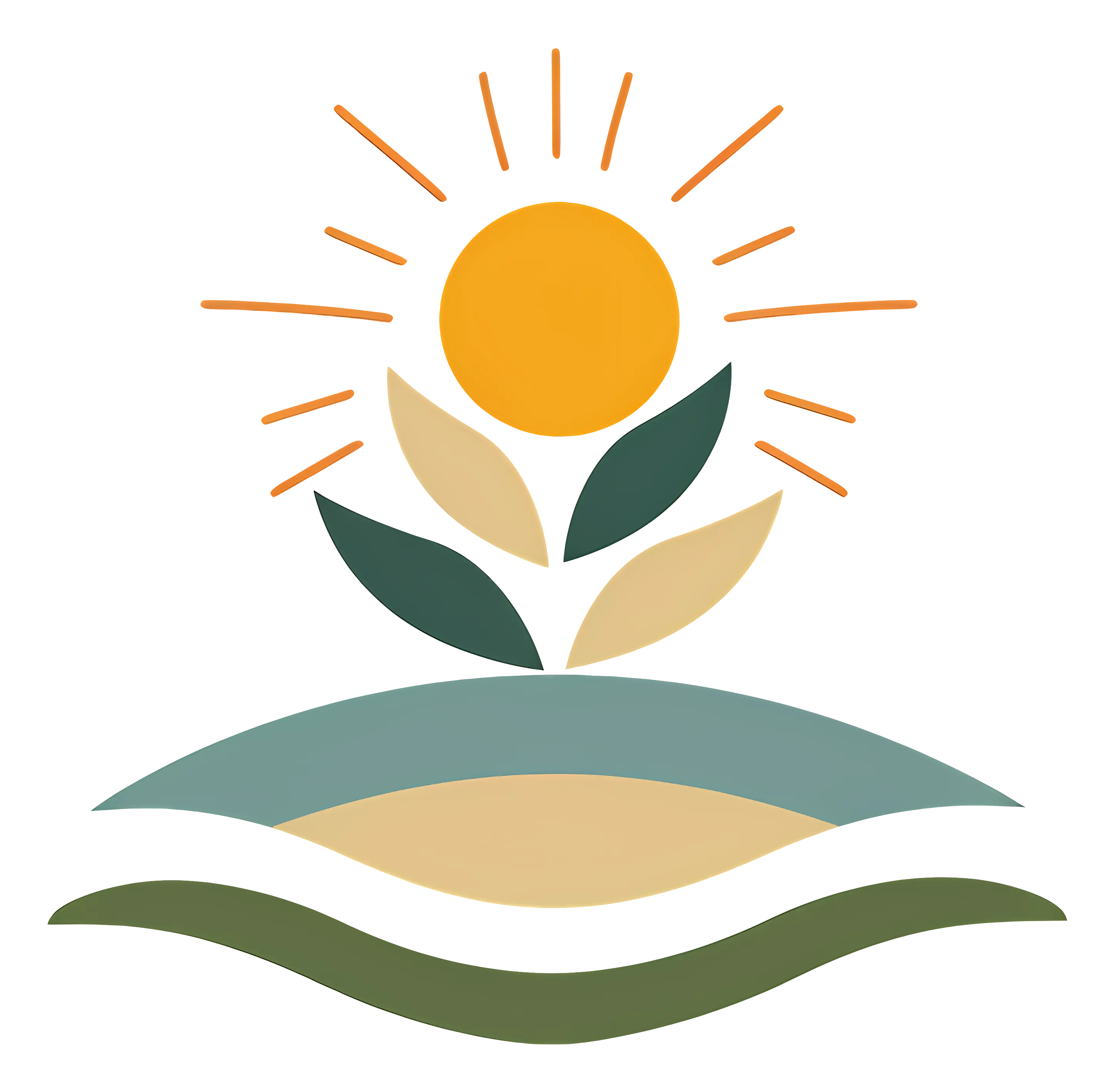 Sun and Plant in a Field