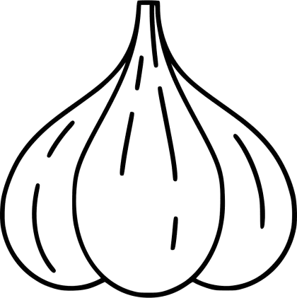 Garlic Line Art Illustration