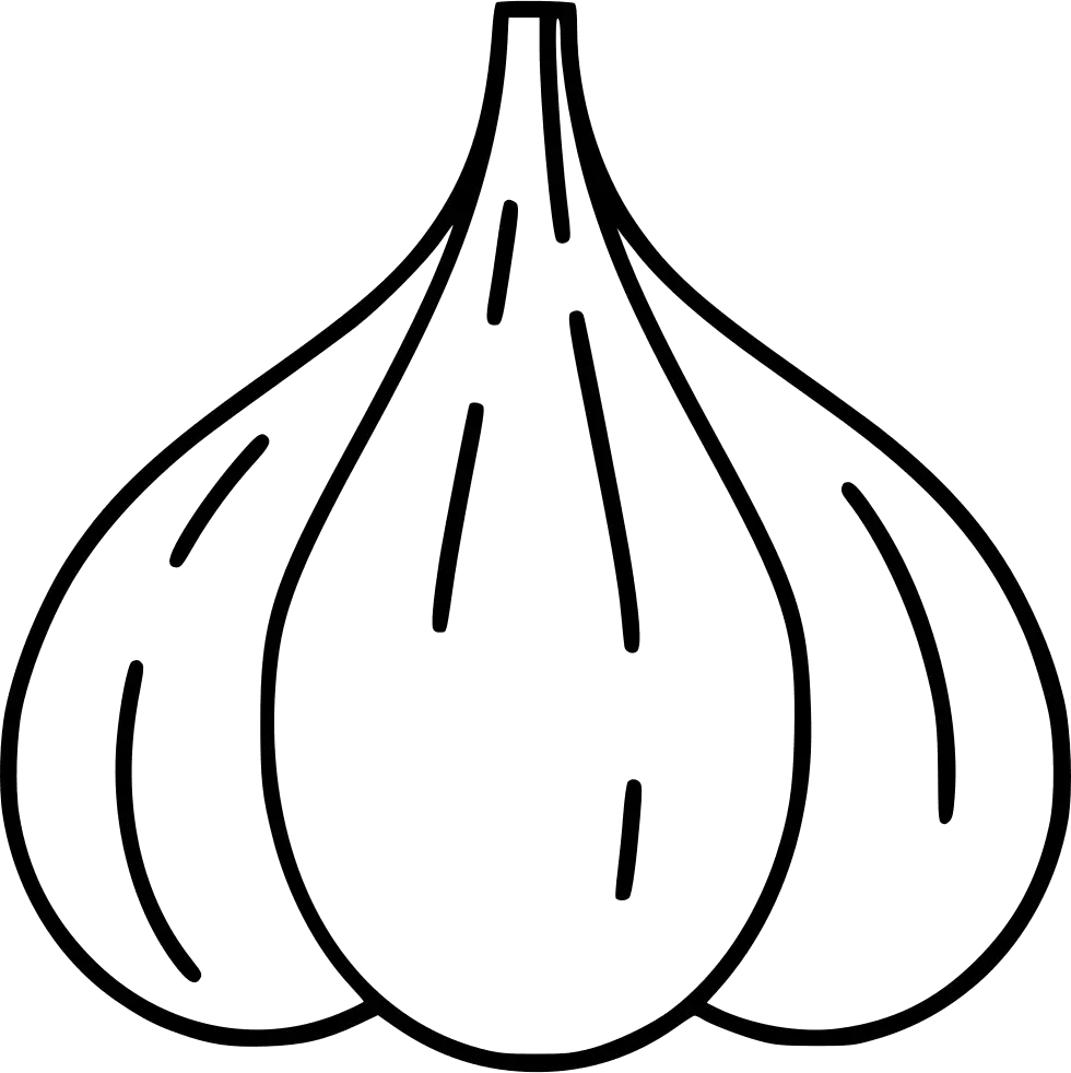 Garlic Line Art Illustration