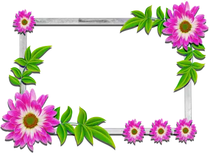 Floral Decorative Frame with Pink Flowers