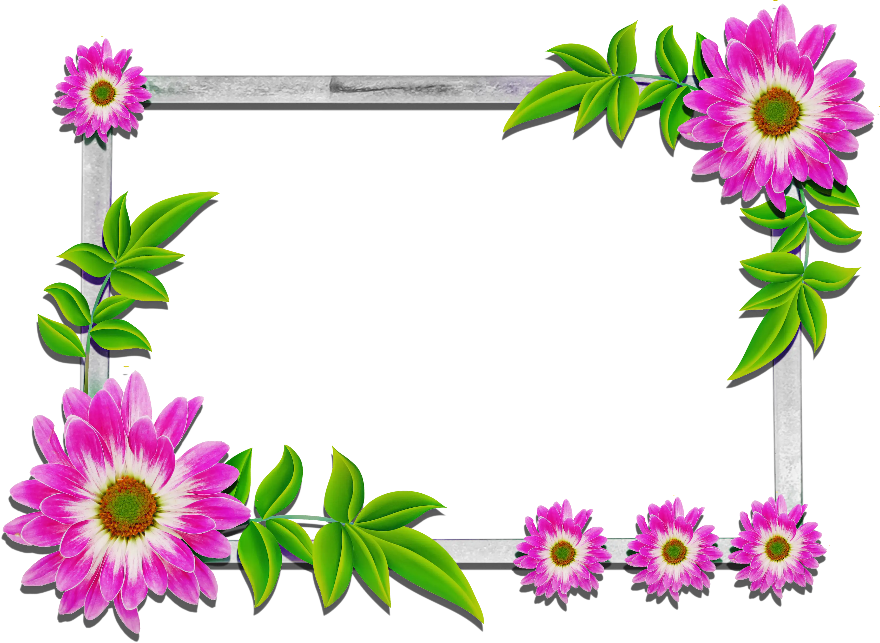 Floral Decorative Frame with Pink Flowers