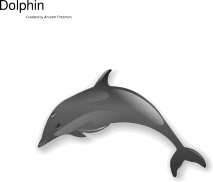 Gray Dolphin Illustration