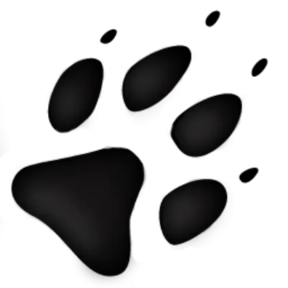 Black Paw Print on Transparent Background