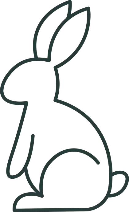 Minimalist Rabbit Line Drawing