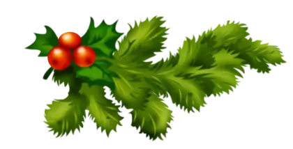 Holly Leaves and Red Berries for Christmas