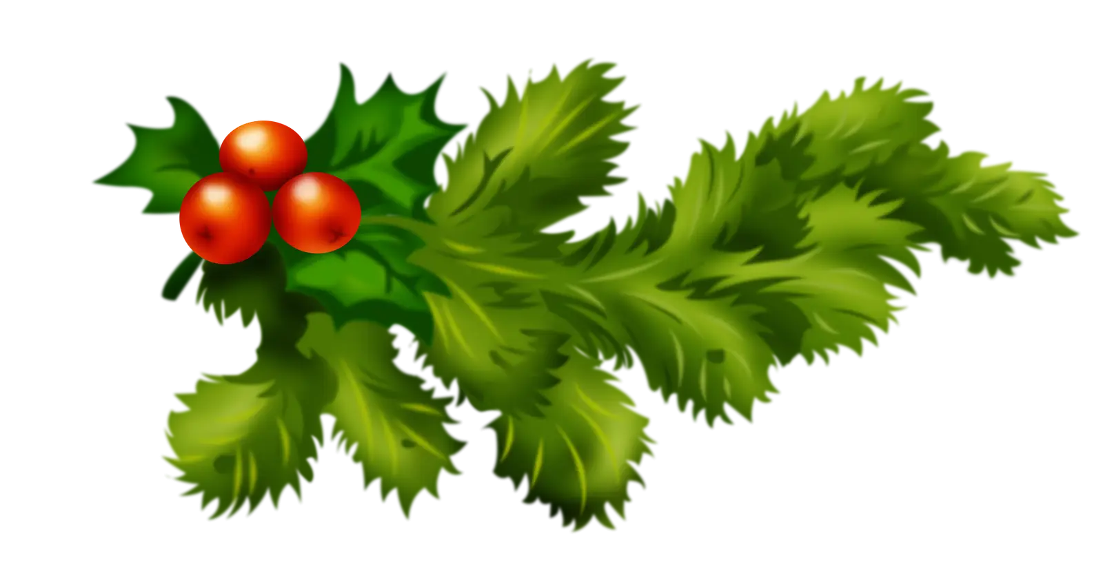 Holly Leaves and Red Berries for Christmas