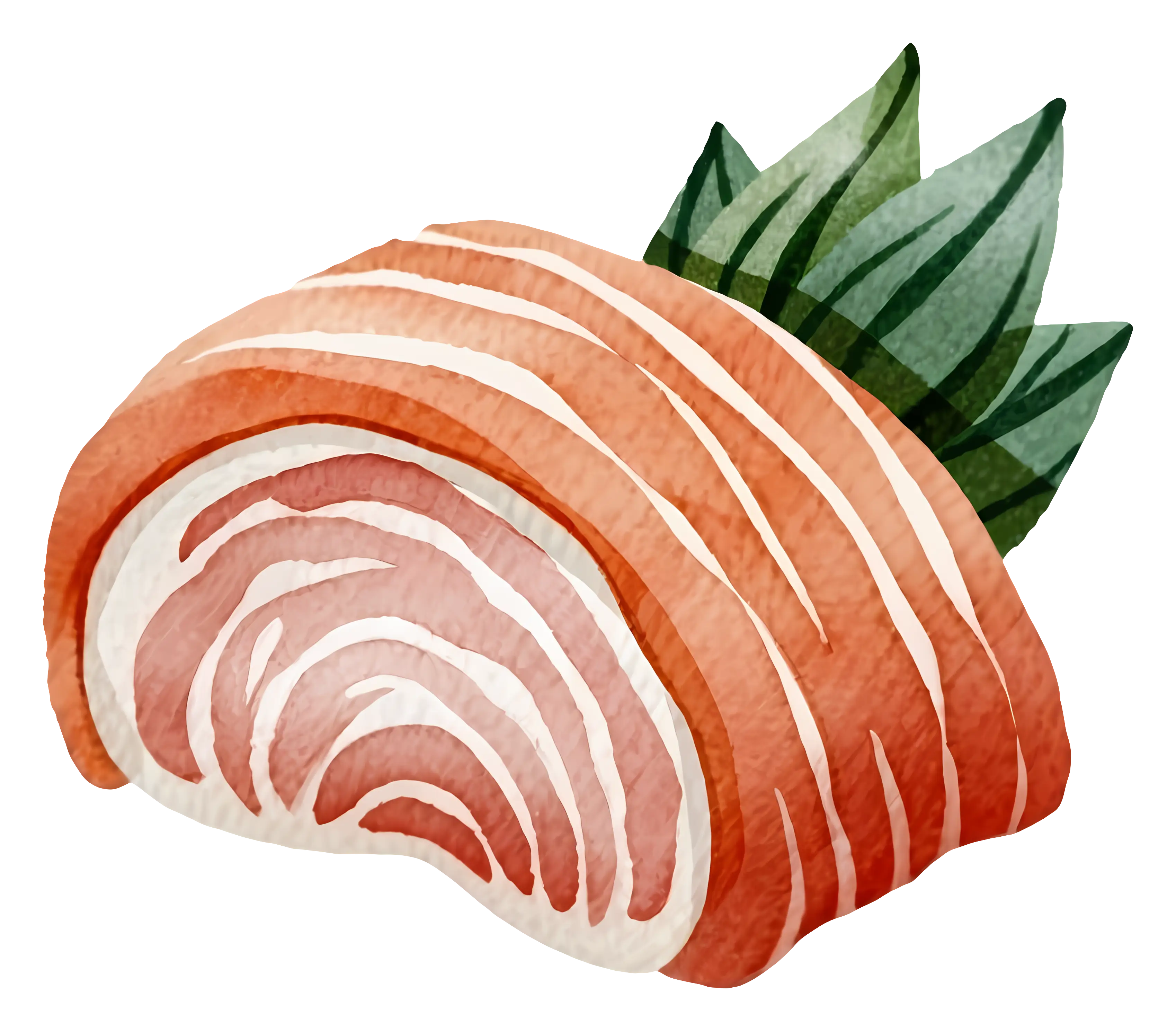 Watercolor Salmon Sushi Illustration