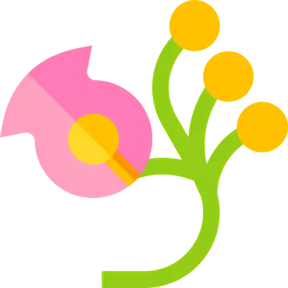 Pink Flower with Yellow Berries