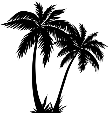 Black Silhouette of Tropical Palm Trees