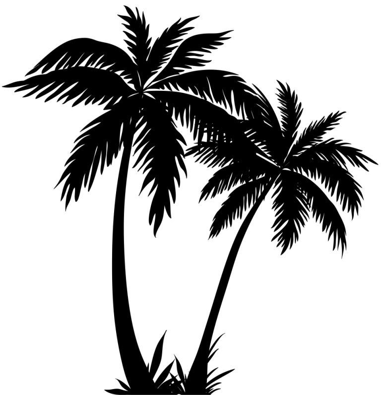 Black Silhouette of Tropical Palm Trees