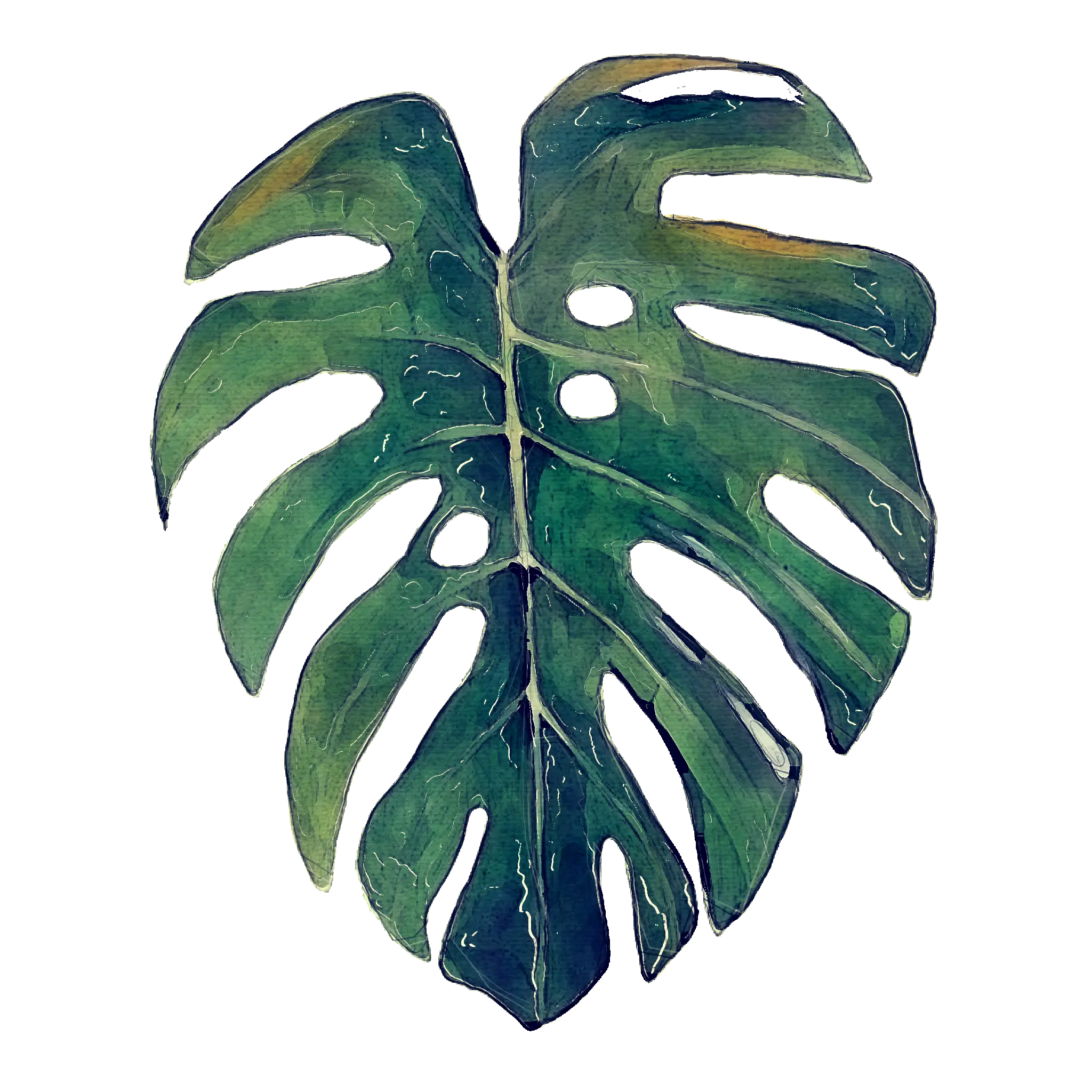 Monstera Leaf Illustration with Tropical Greenery Vibes