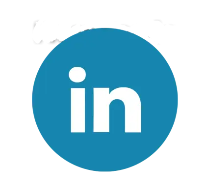 Blue LinkedIn Logo Icon