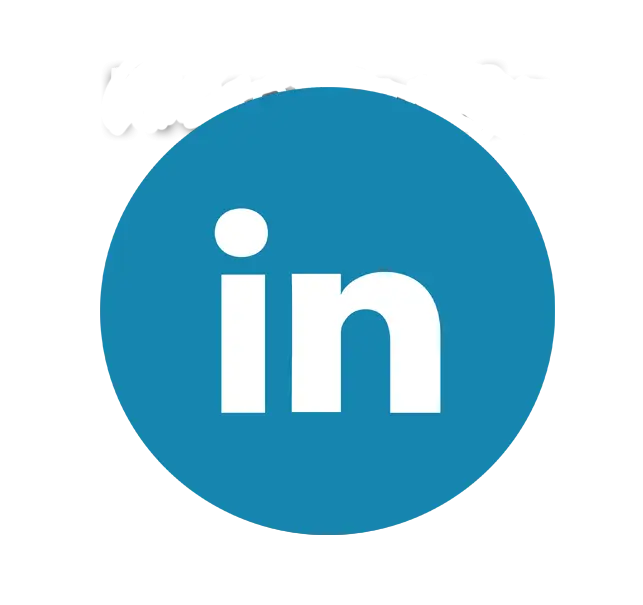 Blue LinkedIn Logo Icon