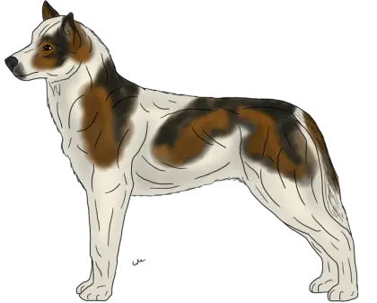Dog Illustration in Side Profile
