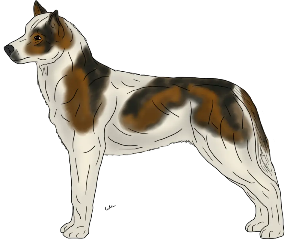 Dog Illustration in Side Profile
