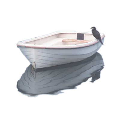 Small Boat on Water with Bird