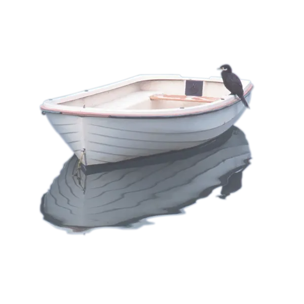 Small Boat on Water with Bird