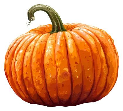 Bright Orange Pumpkin Illustration