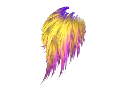 Colorful Digital Feather Illustration