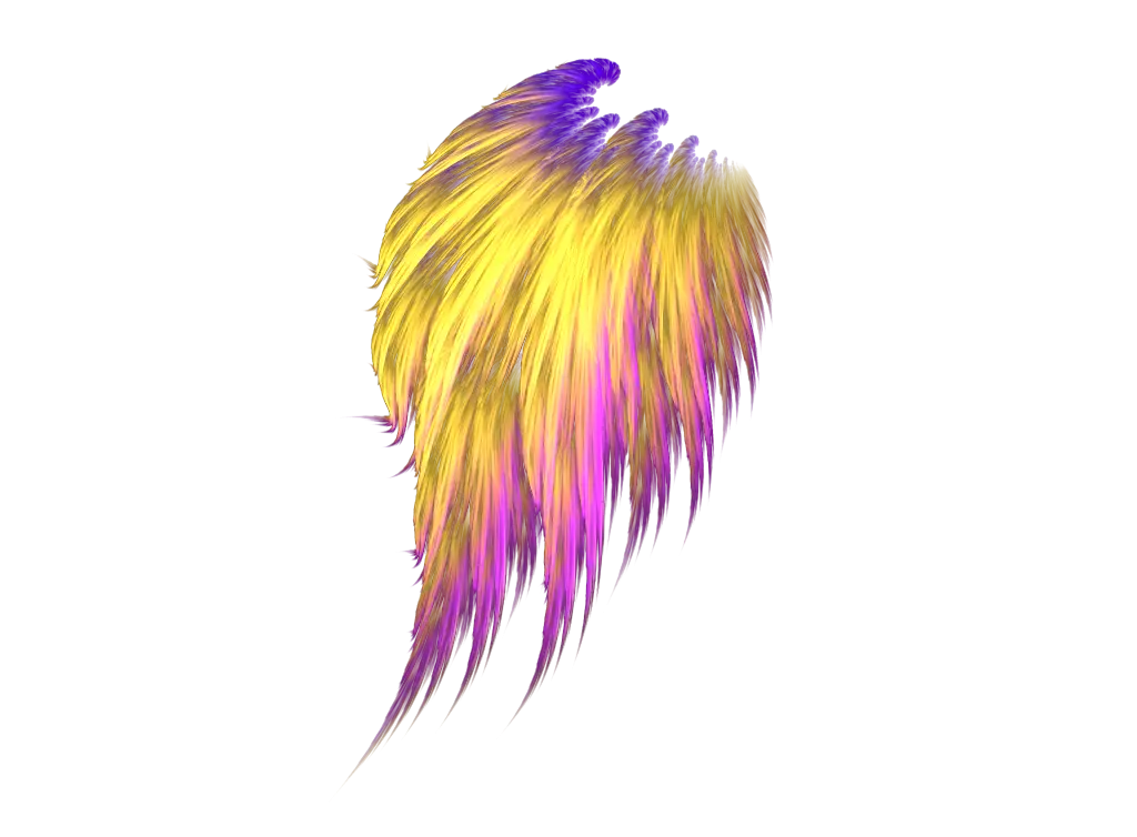 Colorful Digital Feather Illustration