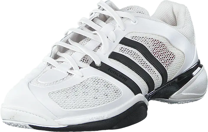 White Sneaker with Black Stripes