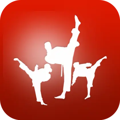Karate Training Silhouette