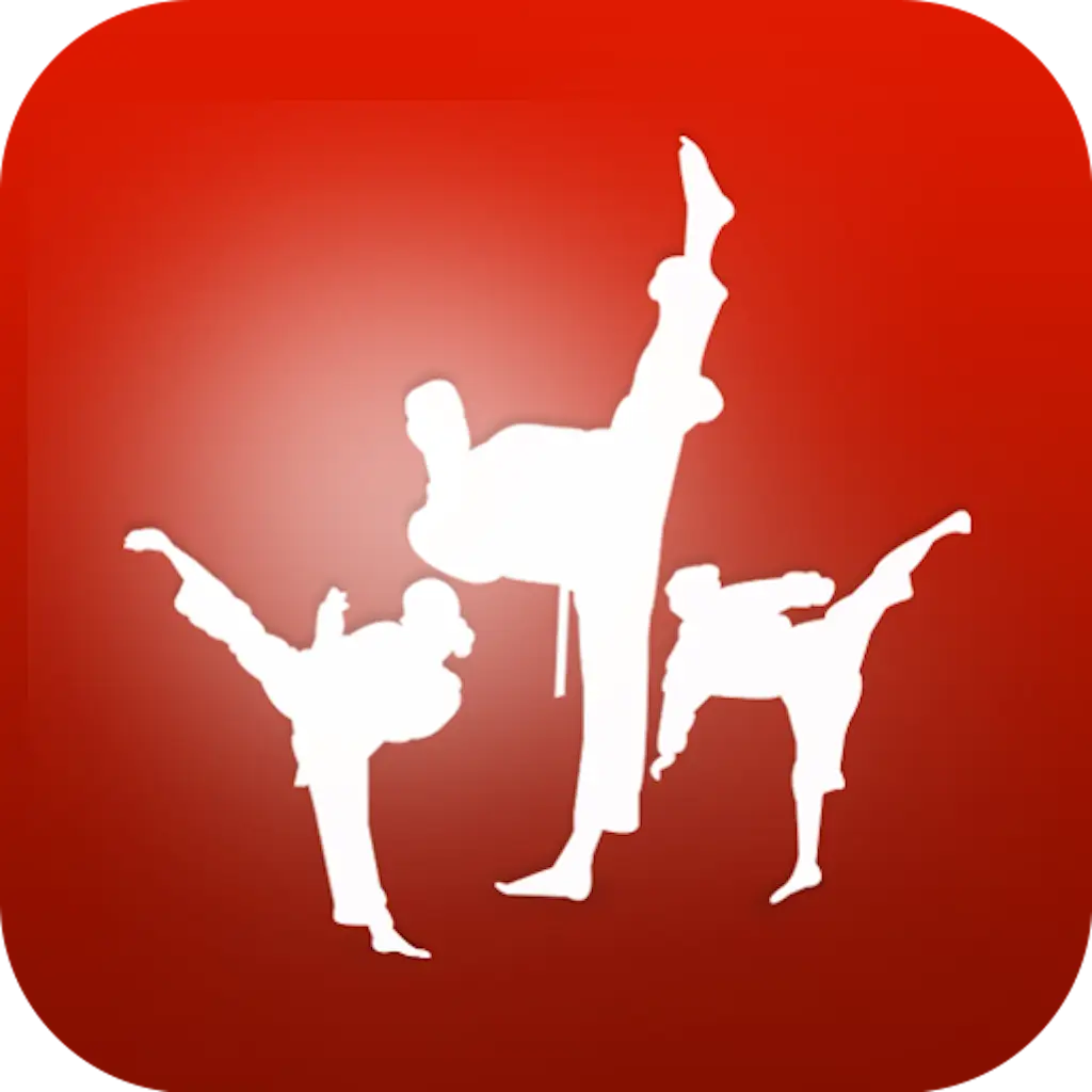 Karate Training Silhouette