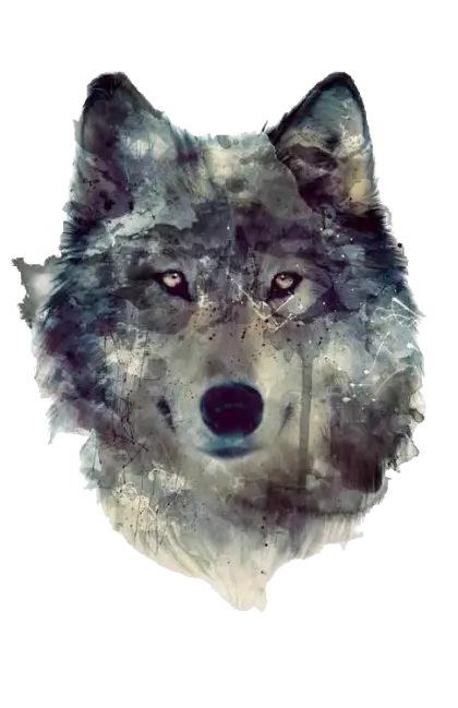Wolf Watercolor Painting with Abstract Elements