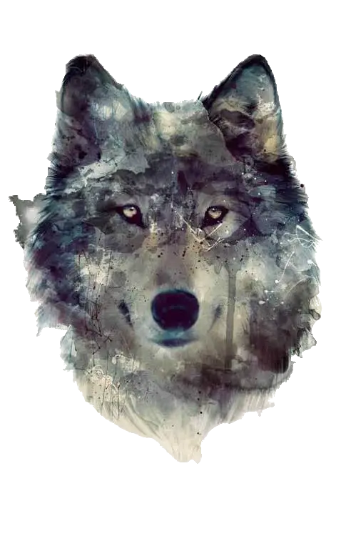 Wolf Watercolor Painting with Abstract Elements