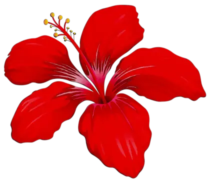 Red Hibiscus Flower with Tropical Vibes