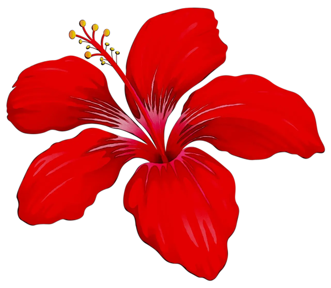 Red Hibiscus Flower with Tropical Vibes