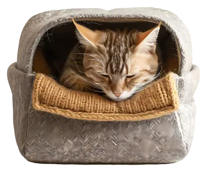 Cat in Bed Illustration