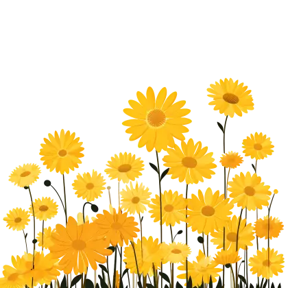 Yellow Flowers in Bloom