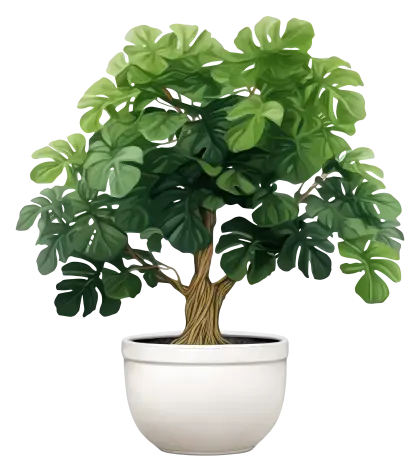 Lush Potted Tree in Ceramic Pot