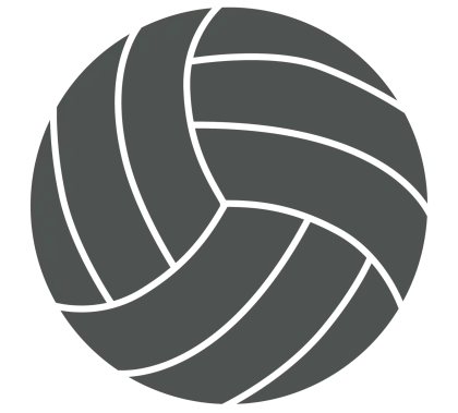 Grey Volleyball with Classic Design