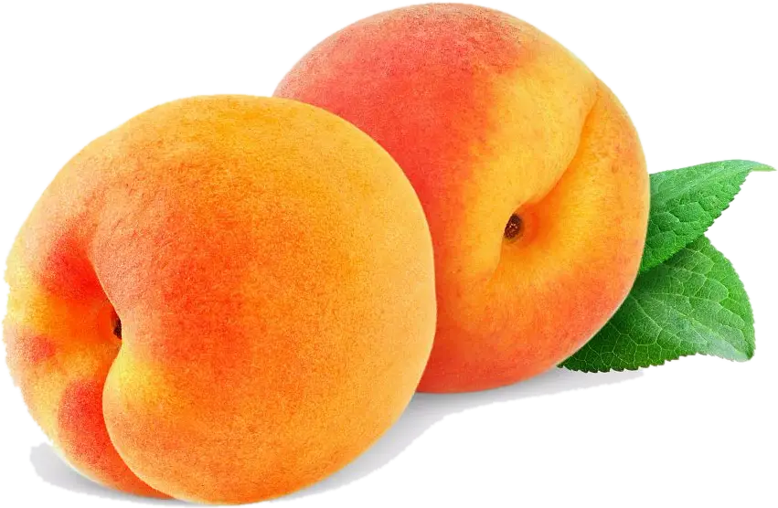 Fresh Ripe Apricots with Leaves