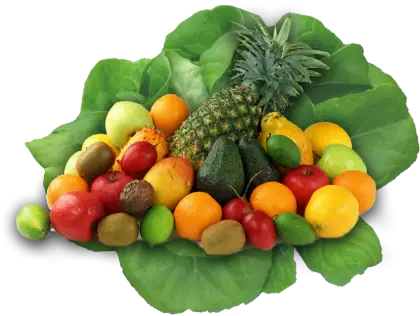 Colorful Tropical Fruits on Green Leaves