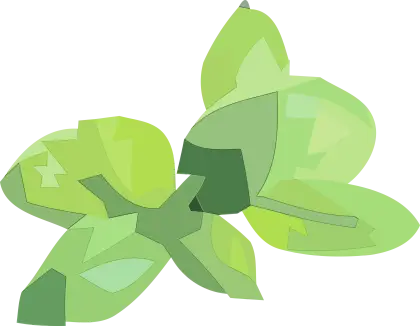 Green Clover for Luck Illustration